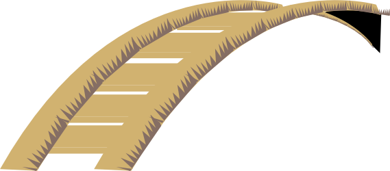 Feather with Long Tail Clipart - Elegant Nature Element