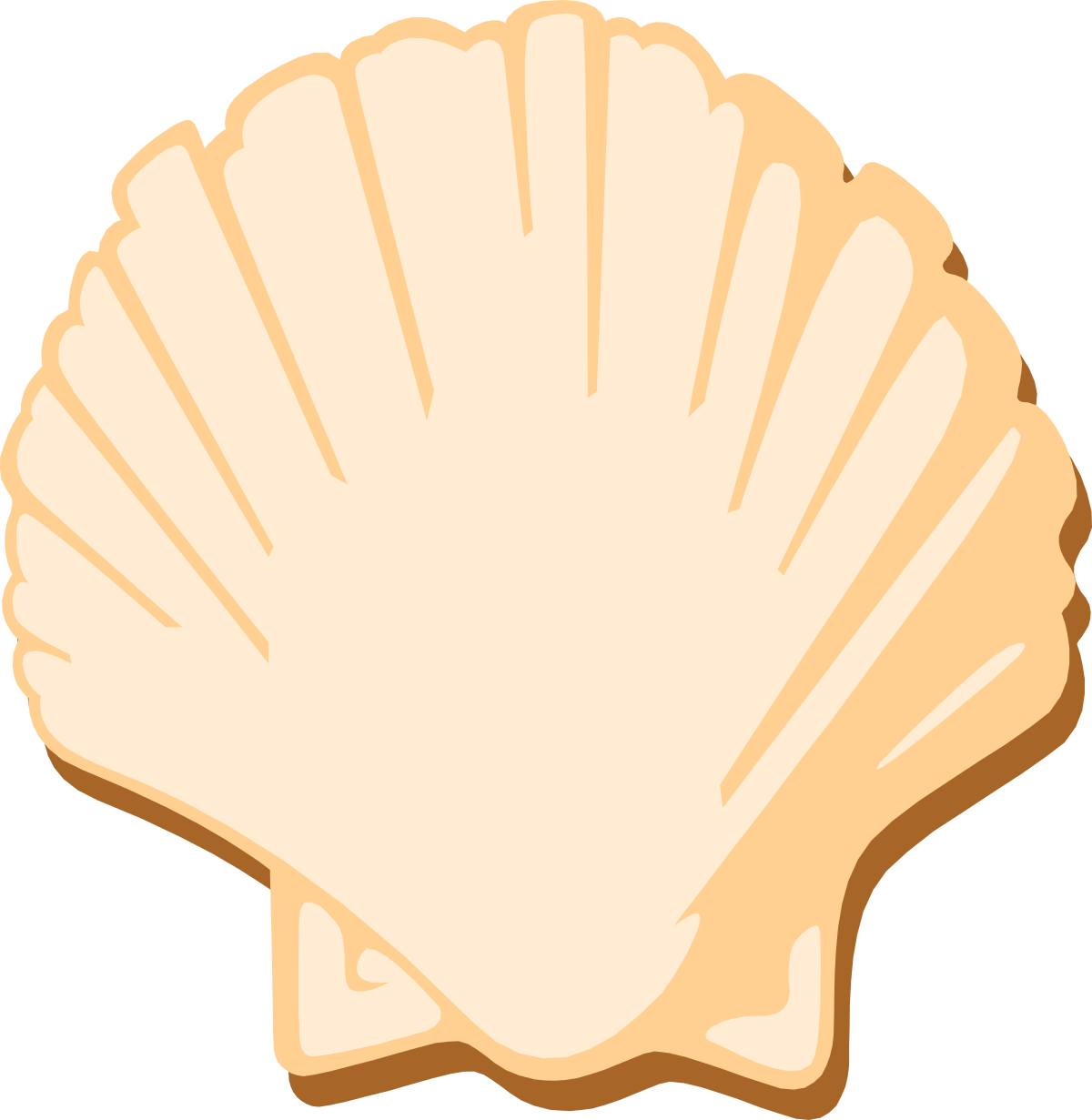 a shell with a white shell shell clip art png transparent Shell Clipart: Elegant White Seashell Design for Creative Projects