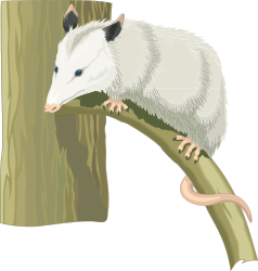 Illustrative Clipart Collection for Creative Projects