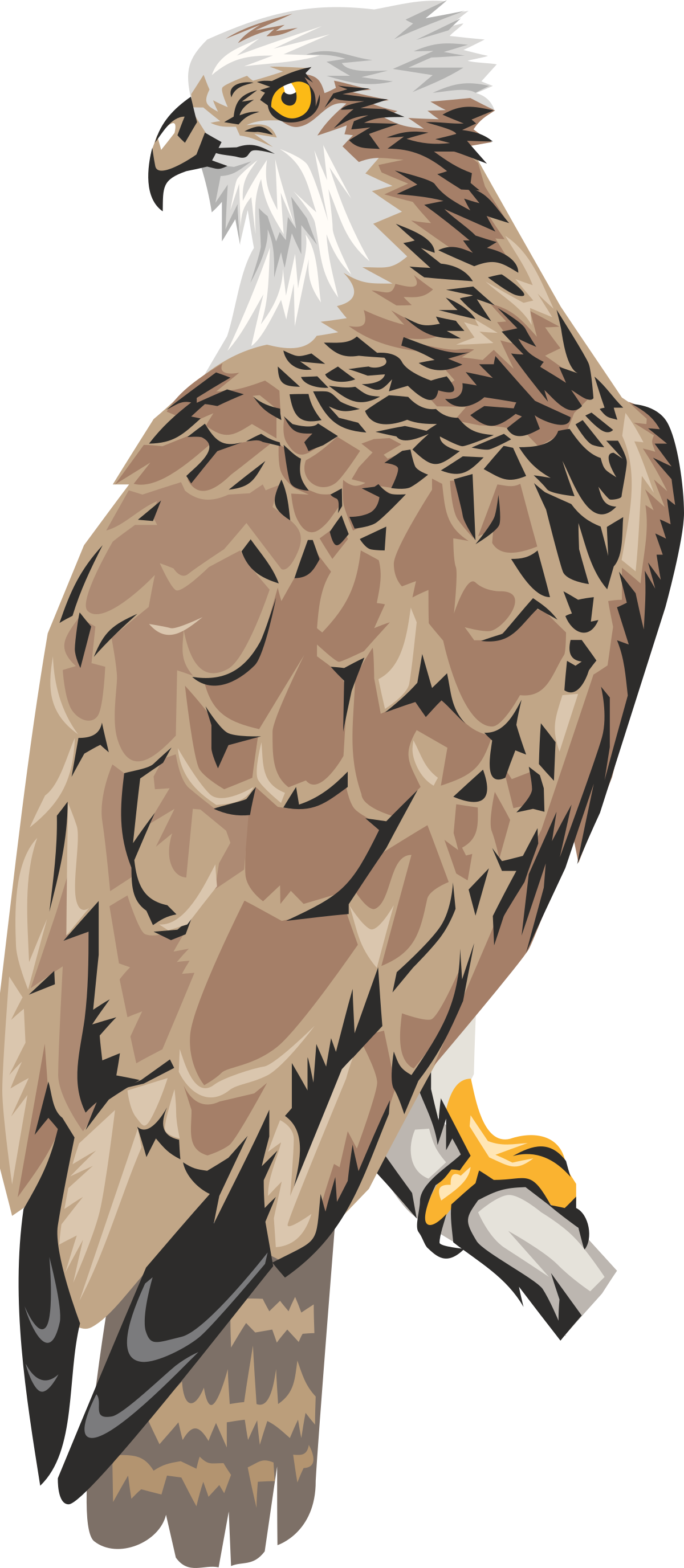 Bird on a Branch Clipart: Vibrant Illustration with Yellow Beak