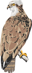 Bird on a Branch Clipart: Vibrant Illustration with Yellow Beak