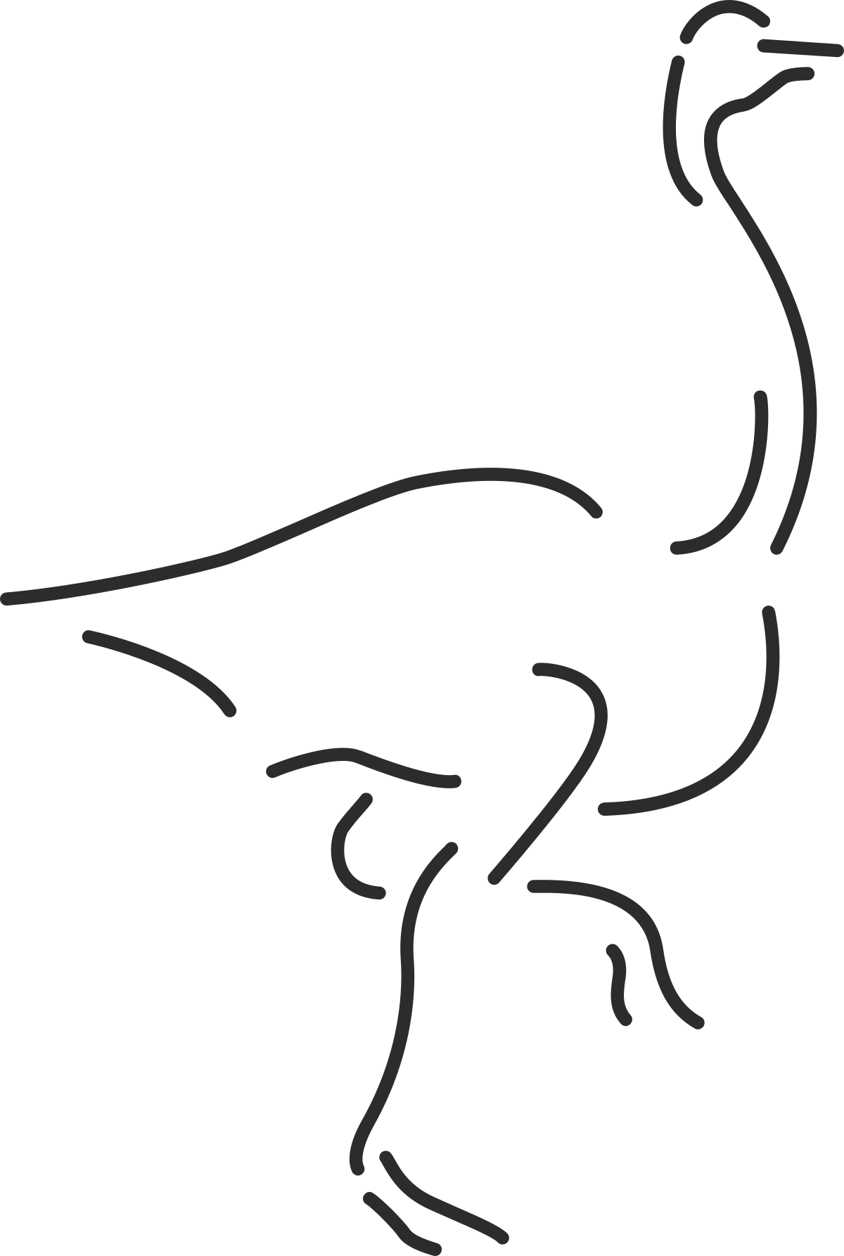 Osm Bird Clipart - Vibrant and Versatile Graphics for Your Projects