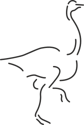 Osm Bird Clipart - Vibrant and Versatile Graphics for Your Projects