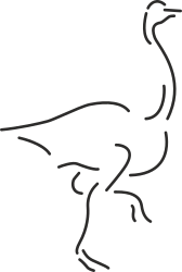 Osm Bird Clipart: Vibrant Bird Illustration for Creative Use