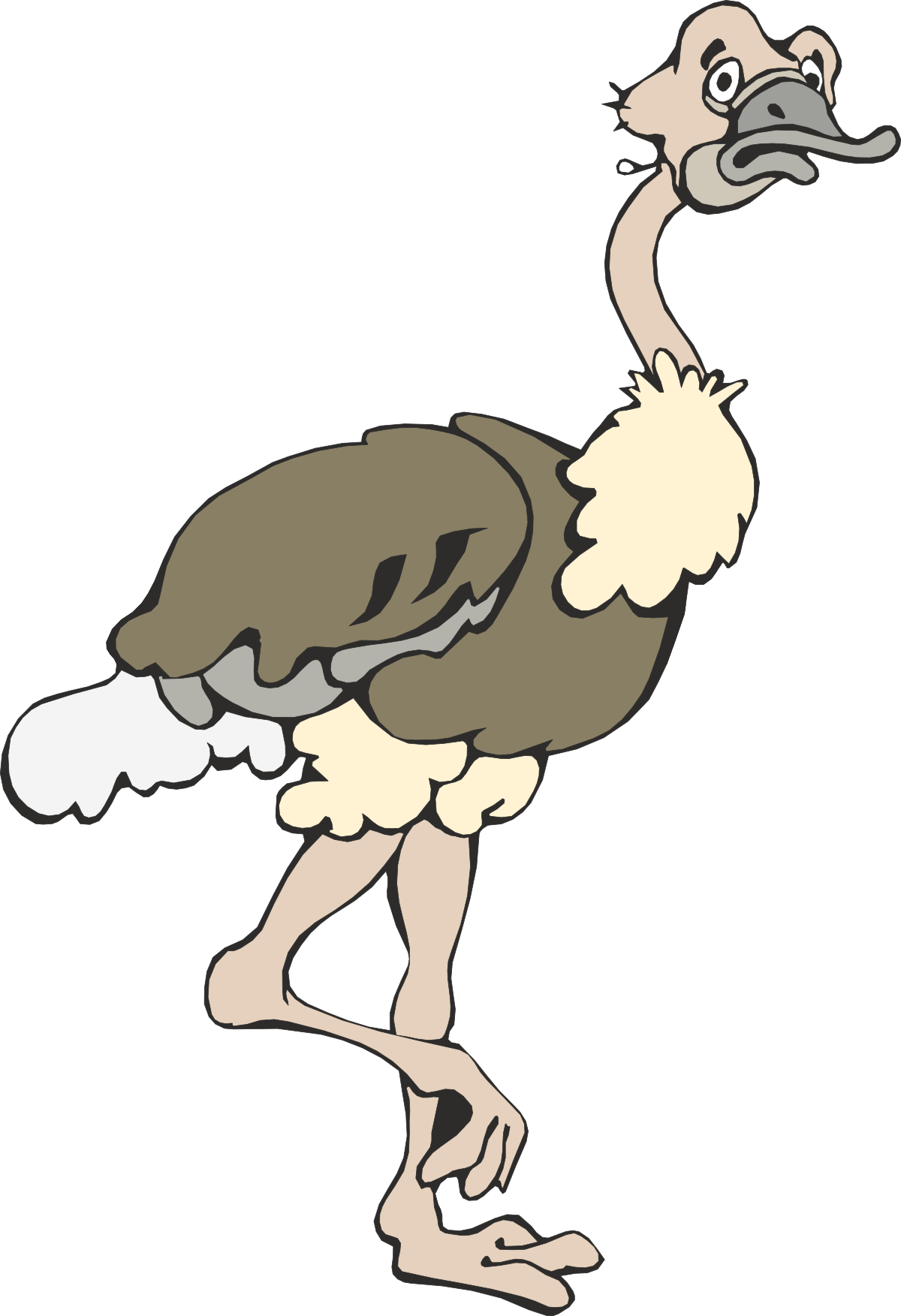 an ose bird with a long neck and a large beak clip art png transparent Ostrich Clipart: Majestic Birds with Long Necks and Large Beaks