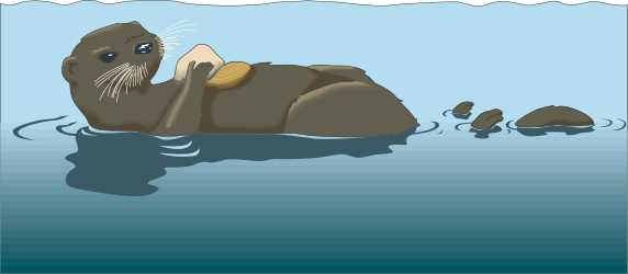 Floating Seal in Water Clipart: Perfect for Nature Themes