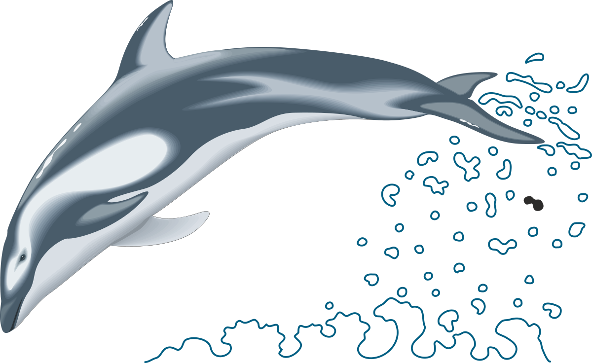Dolphin Jumping Out of Water Clipart - Vibrant Ocean Scene