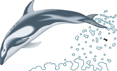 Dolphin Jumping Out of Water Clipart - Vibrant Ocean Scene
