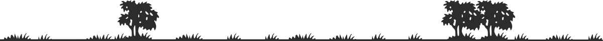 Borders and Palm Trees - Elegant Black and White Clipart Design