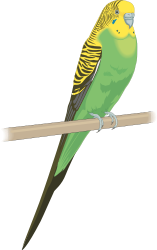 Green and Yellow Parakeet Sitting on a Perch Clipart