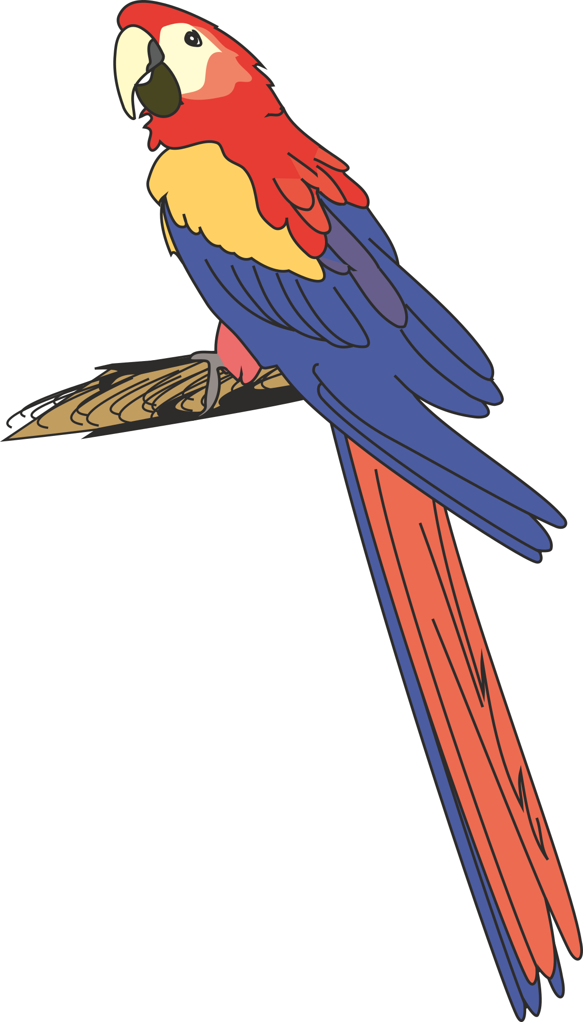 Colorful Parrot Sitting on a Branch Clipart  Vibrant Wildlife Illustration