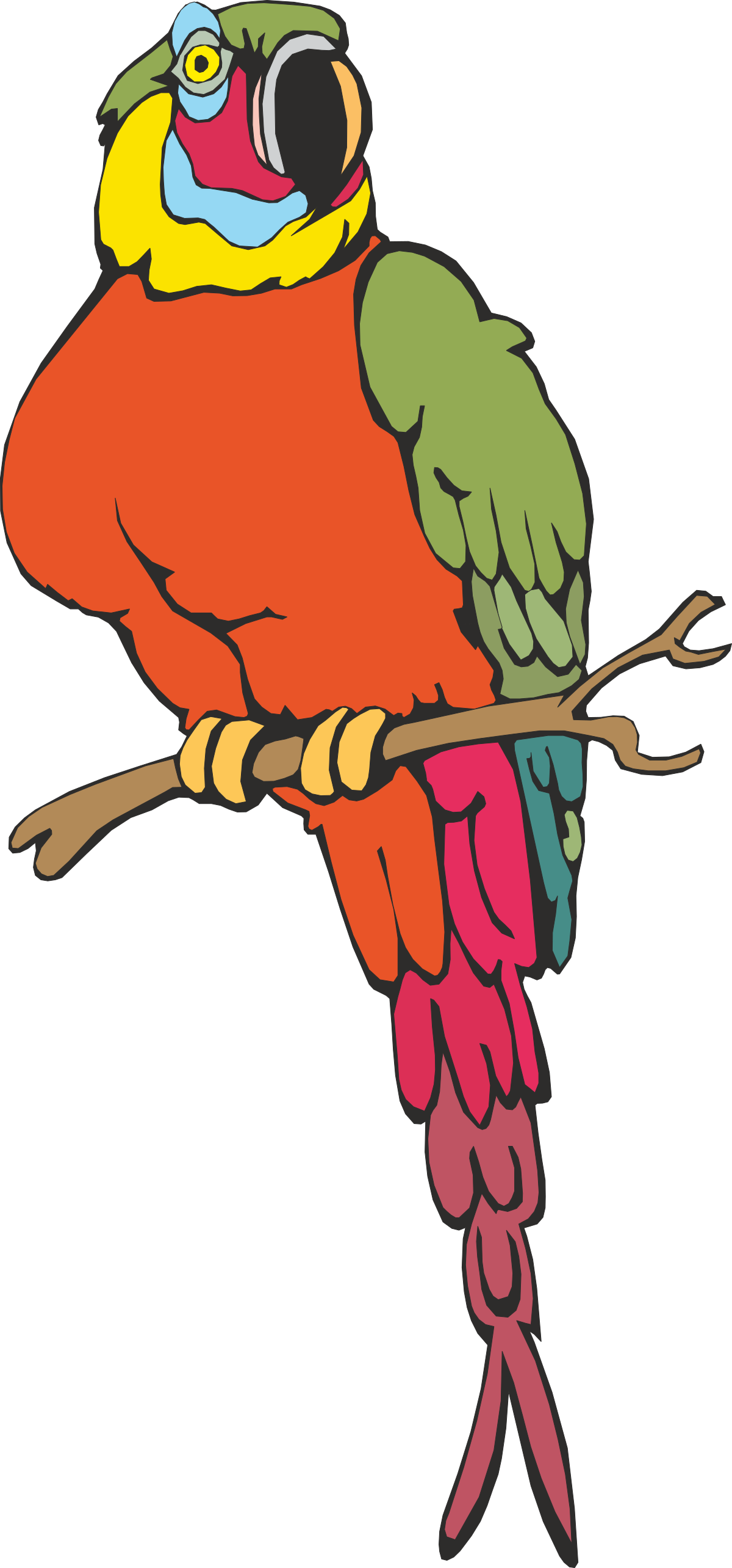 a colorful parrot sitting on a branch clip art png transparent Colorful Parrot Sitting on a Branch - Vibrant Clipart for Your Projects