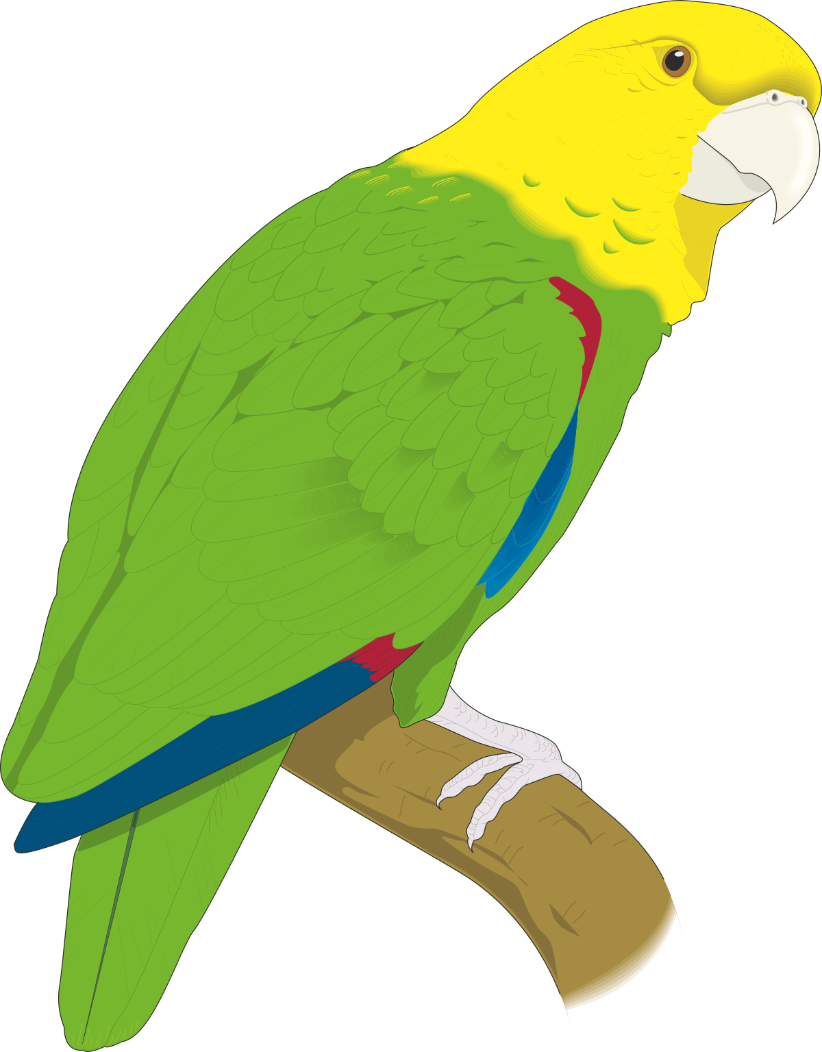 Green and Yellow Parrot Sitting on a Branch Clipart