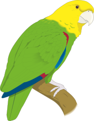 Green and Yellow Parrot Sitting on a Branch Clipart