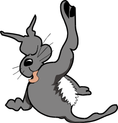 Gray Cat with White Tail Clipart - Adorable Feline Illustration