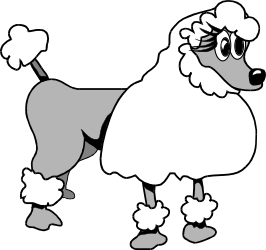 Poo Dog Clipart: Charming White-Faced Canine with Black Nose