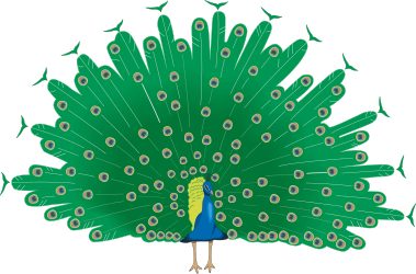 Peacock with Green Tail and Blue Feathers Clipart - Vibrant and Eye-Catching Illustrations