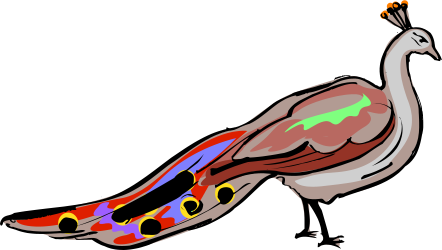 Colorful Bird with Vibrant Tail Clipart for Creative Projects