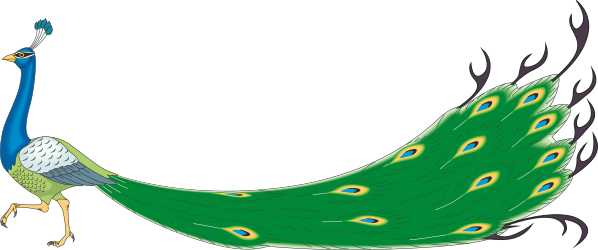Peacock Tail Spread Out Clipart - Vibrant and Stunning Display