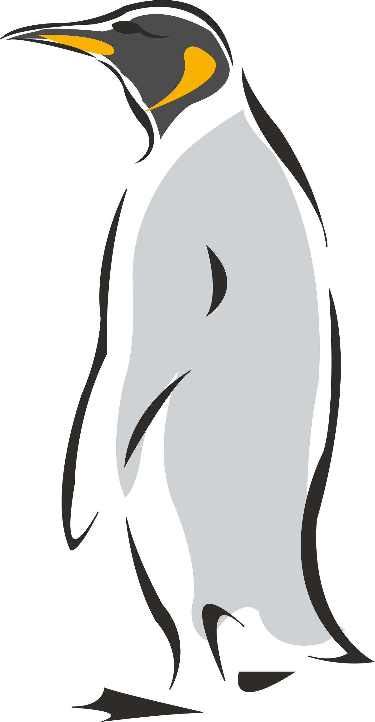Penguin Clipart Collection - Fun and Playful Penguin Illustrations
