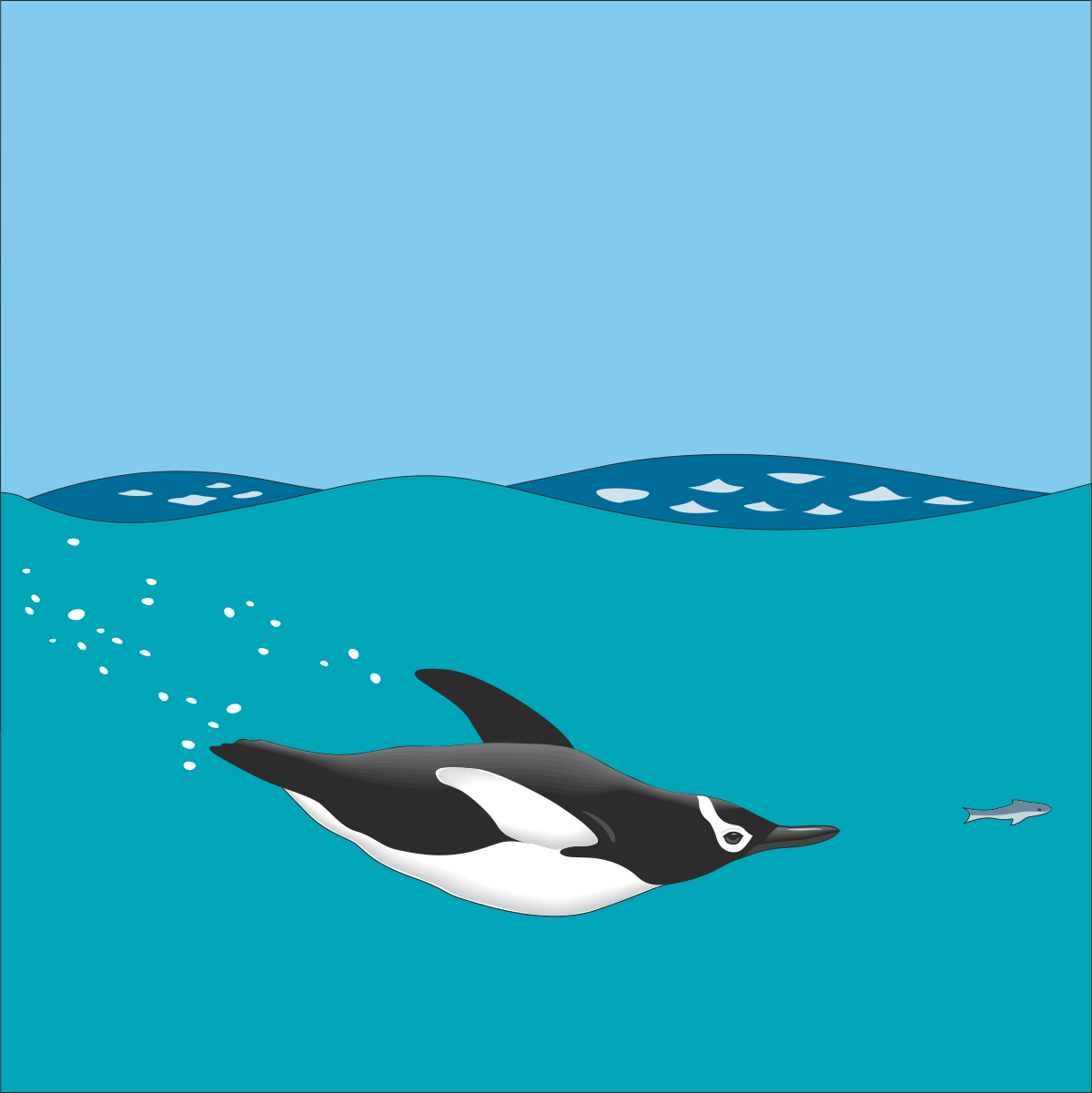 an orca swimming in the ocean clip art png transparent Orca Swimming in the Ocean Clipart - Stunning Marine Life Illustration