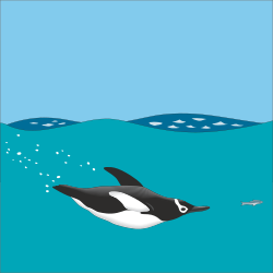 Orca Swimming in the Ocean Clipart - Stunning Marine Life Illustration