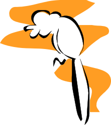White Bird with Orange Feathers on Back - Vibrant Clipart Collection