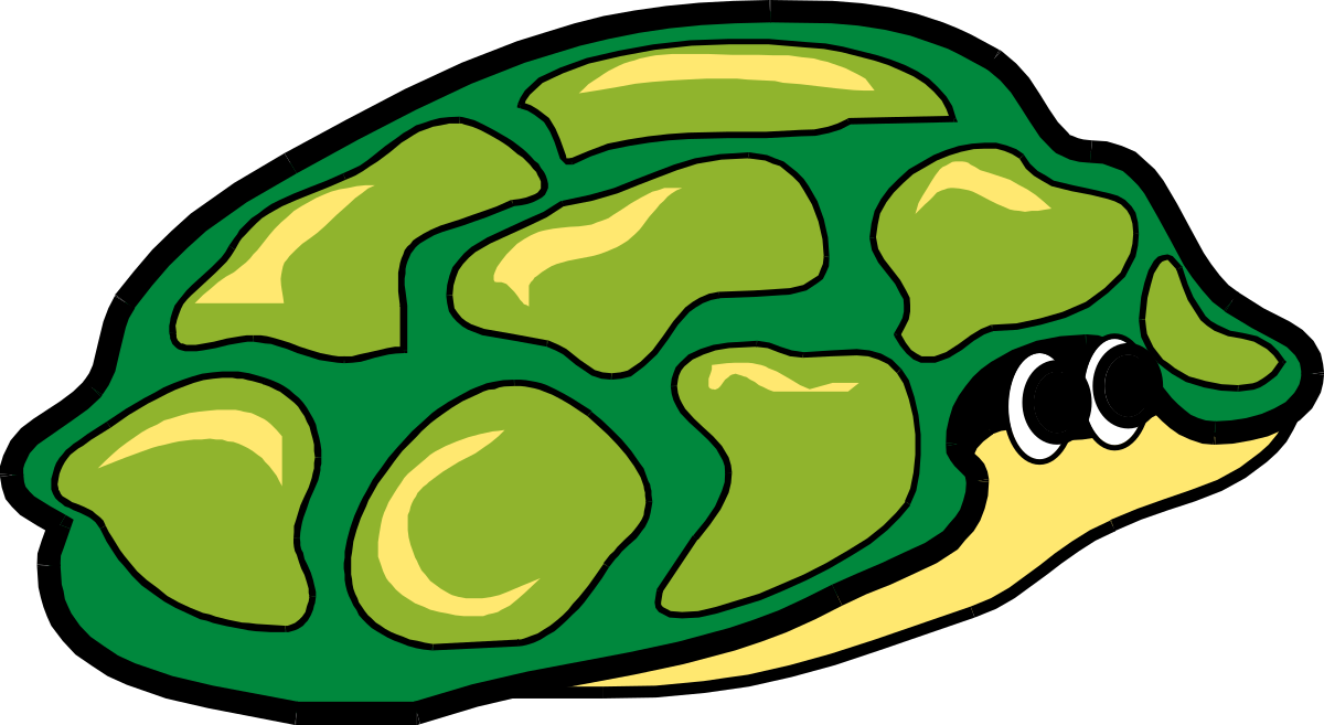 Green Turtle Clipart on Black Background