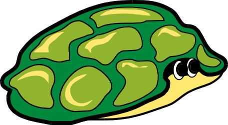 Green Turtle Clipart on Black Background
