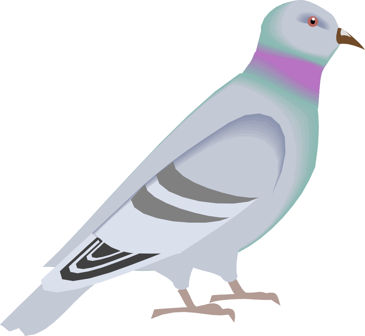 Pink Beak Bird Clipart: Elegant White Body Design
