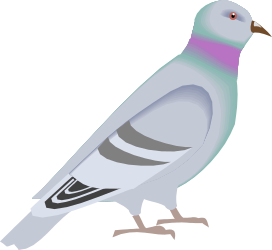 Pink Beak Bird Clipart: Elegant White Body Design