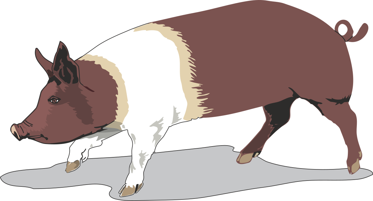 a pig walking on a black background clip art png transparent Pig Walking on Black Background Clipart - Perfect for Creative Projects