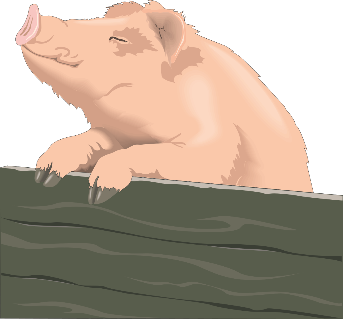 Pig on Wooden Plank - Charming Clipart for Farm Themes