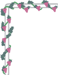Holly Frame with Pink Berries and Green Leaves Clipart for Decorative Borders