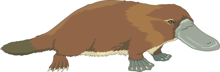 ANIMALS,WATER,PLATYPUS clipart