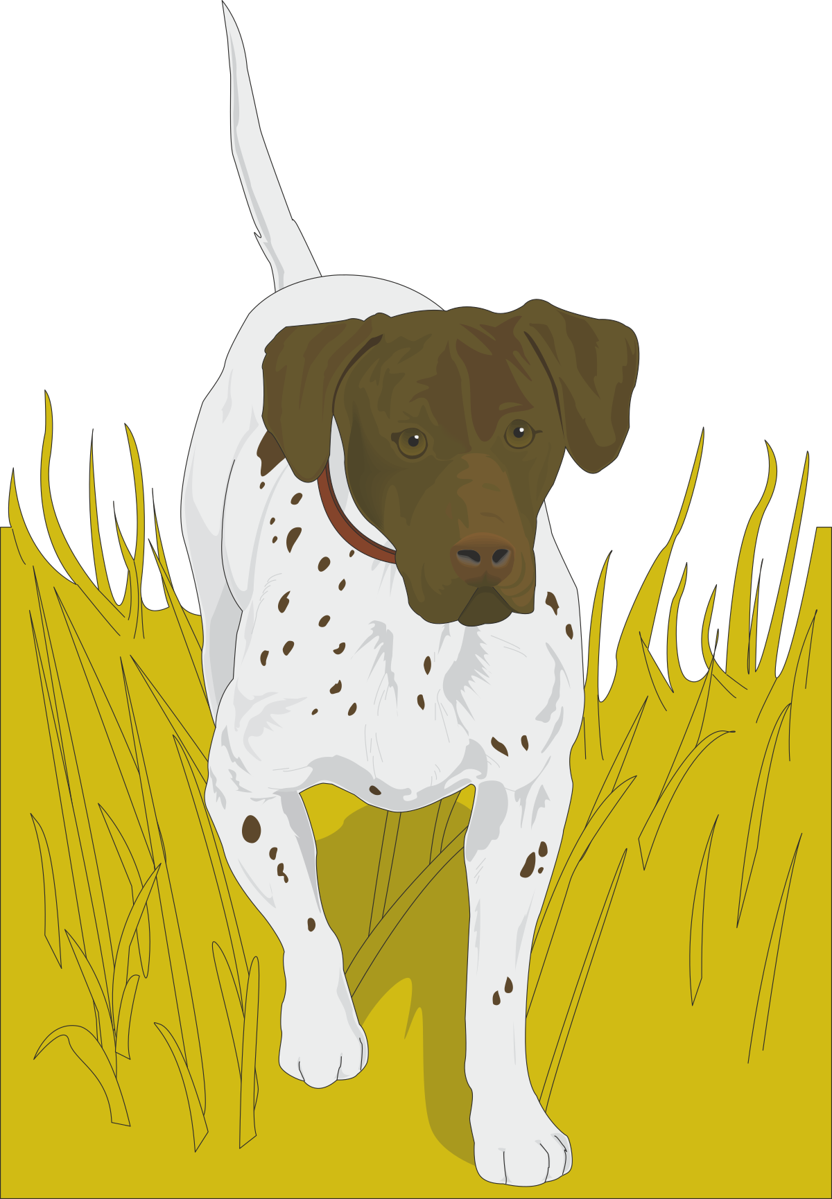 a dog standing in the grass clip art png transparent Dog Standing in Grass Clipart - Perfect for Nature Themes