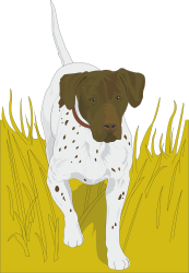 Dog Standing in Grass Clipart - Perfect for Nature Themes
