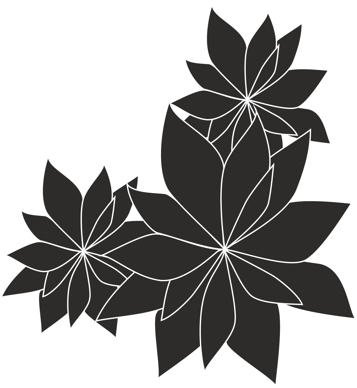 Borders and Poinciana Plants: Vibrant 3-Flower Clipart on Black Background