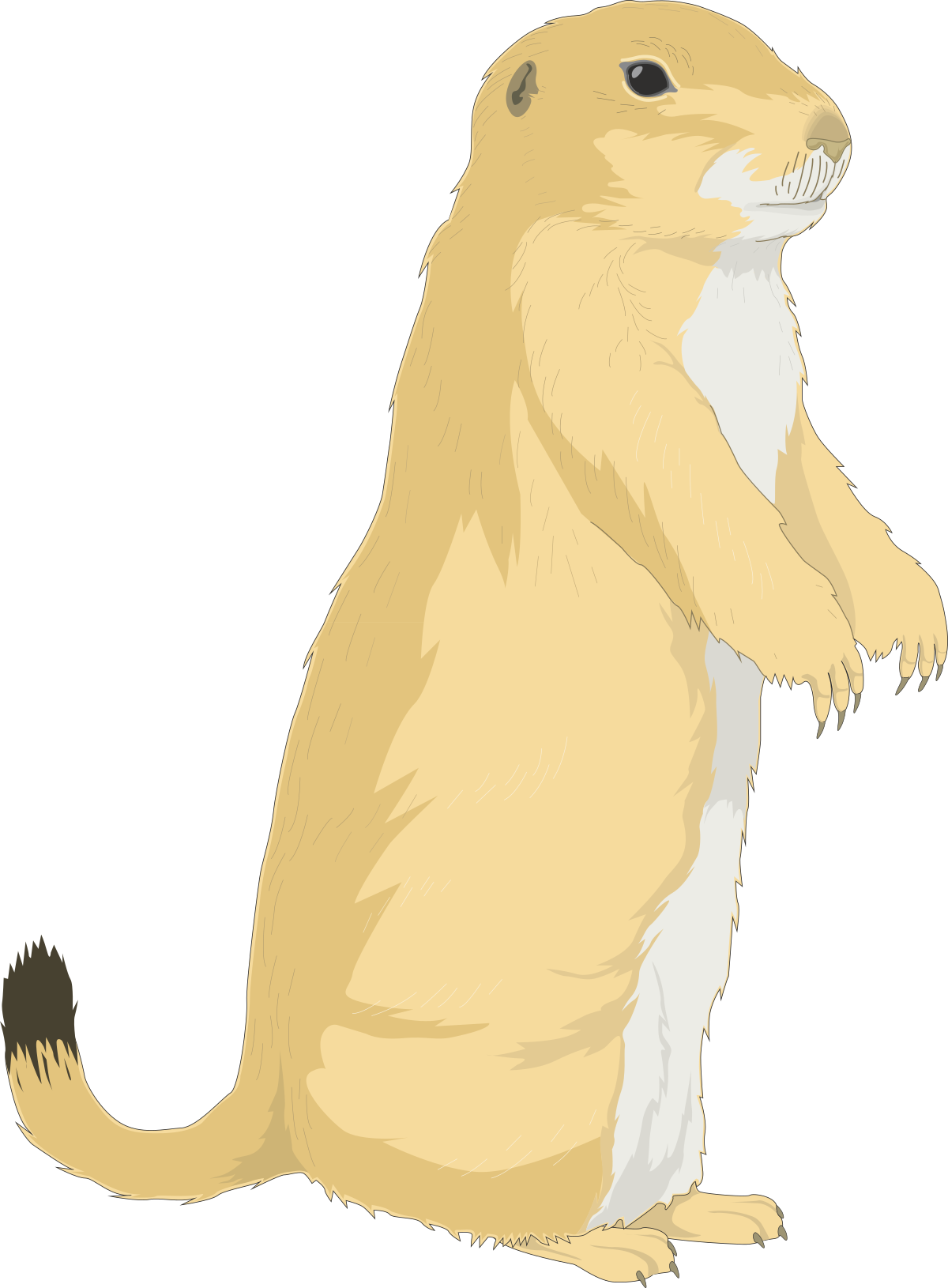 Brown Animal Sitting on Hind Legs - Adorable Clipart Illustration