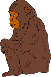 Monkey Sitting on Ground with Crossed Hands - Fun Clipart