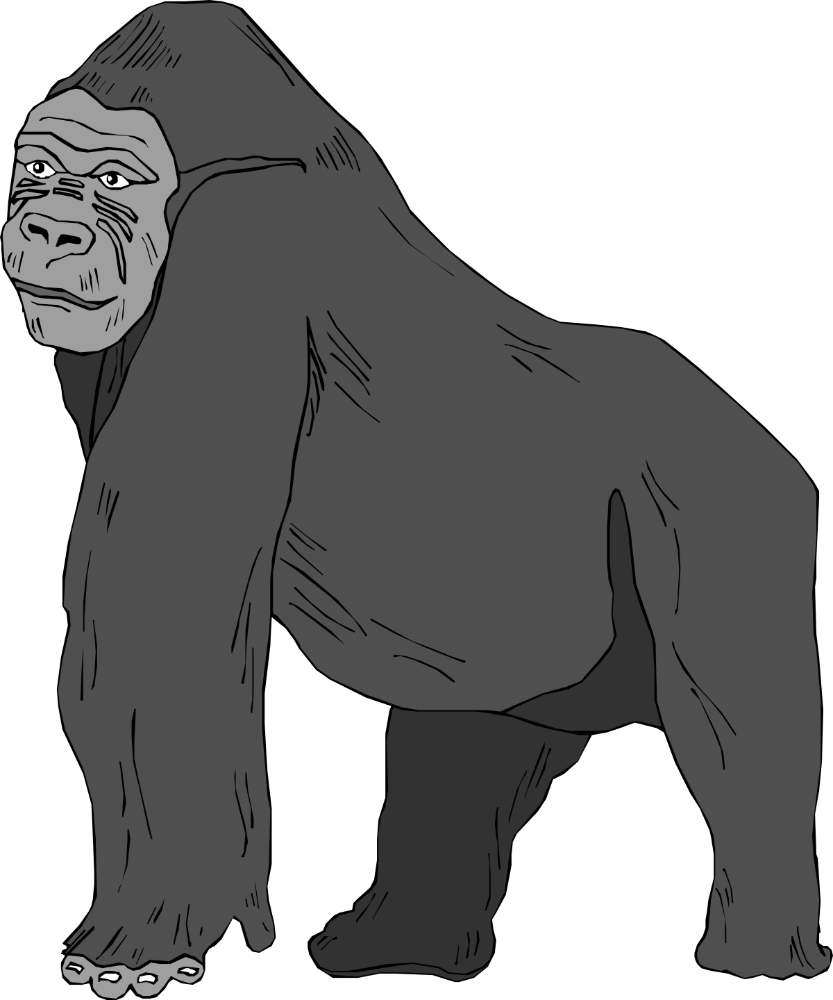 gorilla clipart clipart clipart clipart clipart clip art png transparent Gorilla Clipart: Fun and Engaging Jungle Animal Illustrations