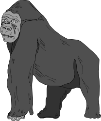 Gorilla Clipart: Fun and Engaging Jungle Animal Illustrations