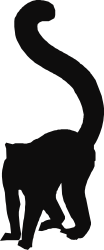 Black Cat Silhouette Against Dark Background - Perfect for Your Designs
