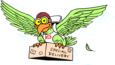 Cartoon Bird Special Delivery Clipart for Fun Projects