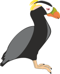 Black and White Bird with Yellow Beak Clipart for Creative Projects