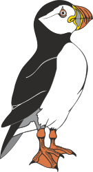 Puffy Puffer Bird Clipart with Yellow Beak - Perfect for Creative Projects
