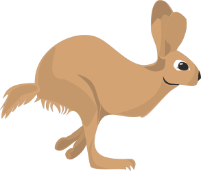 Brown Kangaroo with Big Nose - Adorable Clipart for Your Projects
