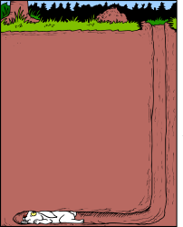 Cat Laying on Ground in Front of Large Red Box Clipart