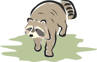 ANIMALS,WILD,RACOON1 clipart