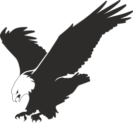 Eagle Flying in the Sky - Majestic Wildlife Clipart